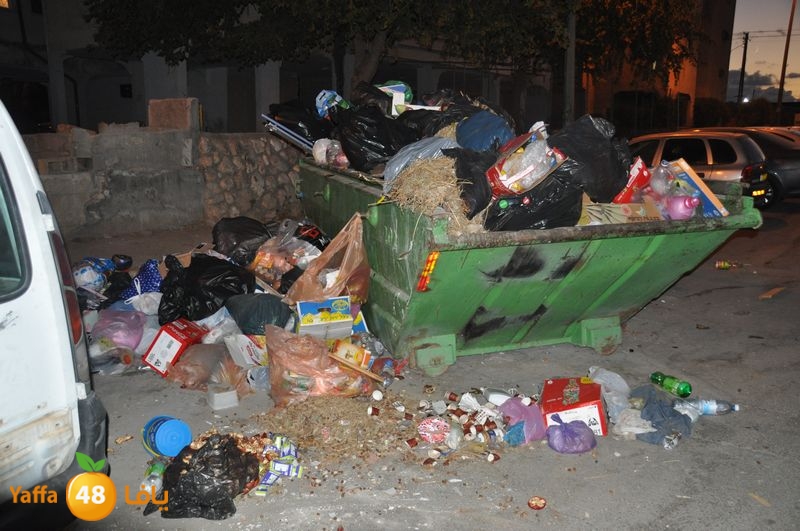 trash lud 907 (14).JPG